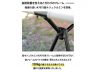 高さが選べる！簡易ベッド 画像3