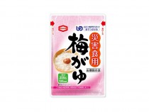 長期保存食フリーズドライごはん　白飯